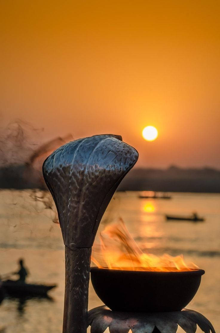 مجسمه کبرا در اوجین ماهاکال والپیپر