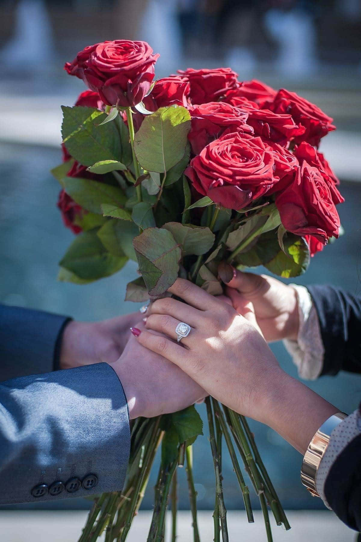 مجموعه‌ای زیبا از گل‌های عشق در شکوفه کامل والپیپر