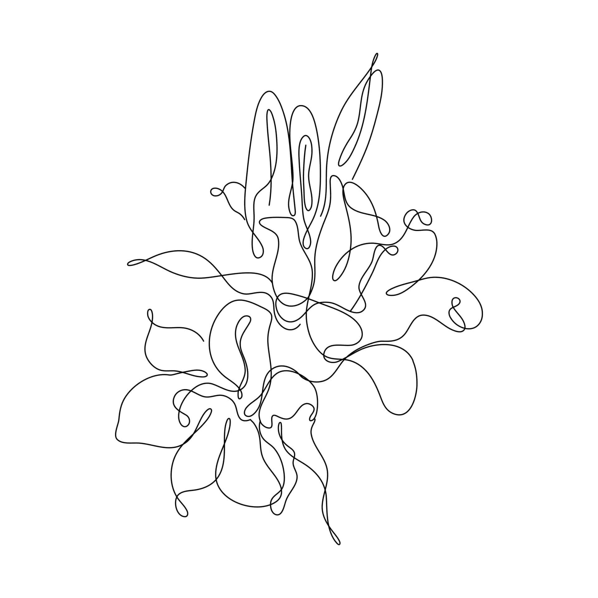نقاشی خطی از یک گل والپیپر