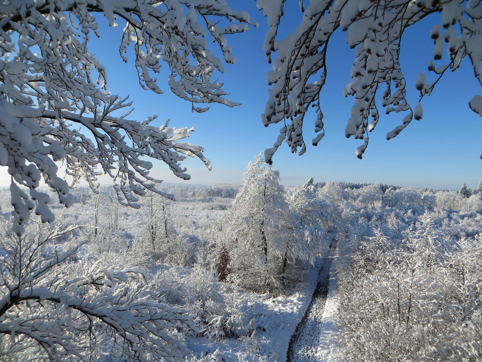 نمای زیبای برفی والپیپر
