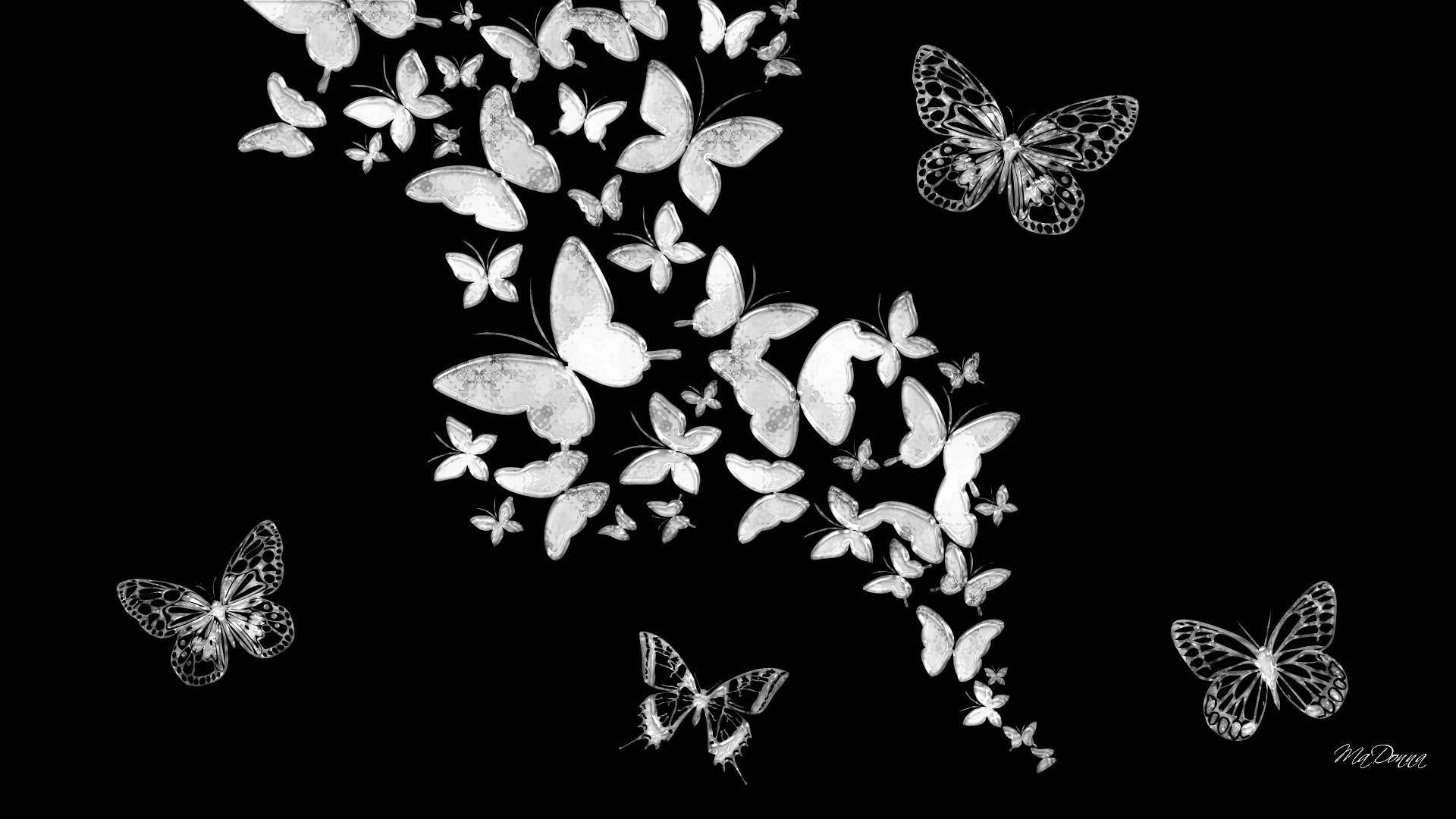 والپیپر هنر سیاه پروانه‌ای زیبا