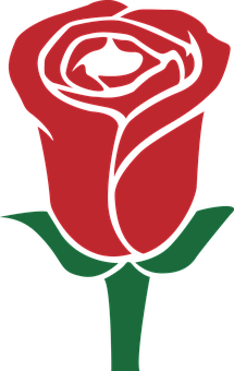 هنر وکتور گل رز قرمز والپیپر