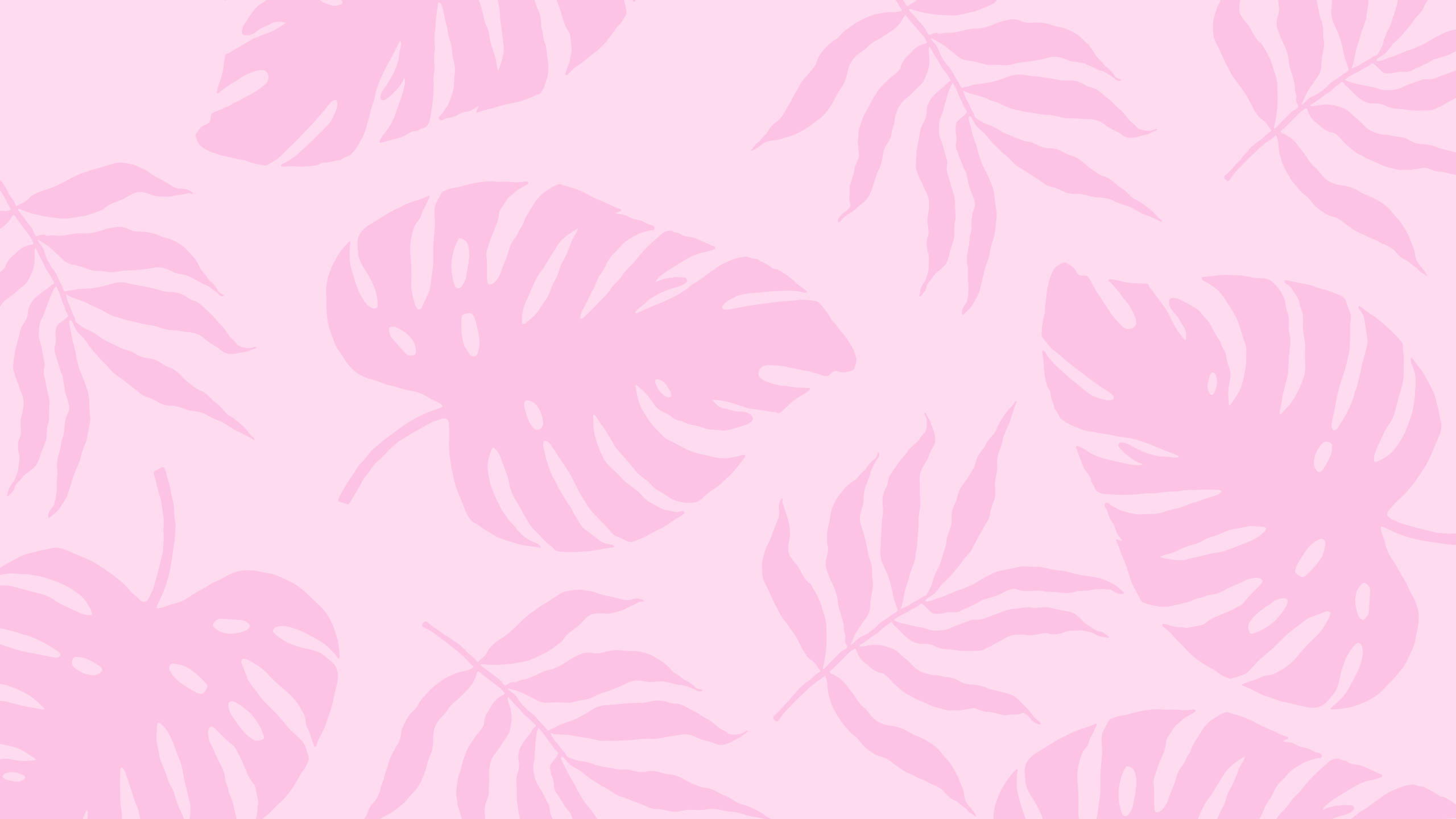 والپیپر 2560x1440 تابستانی گیاهان صورتی زیبا والپیپر