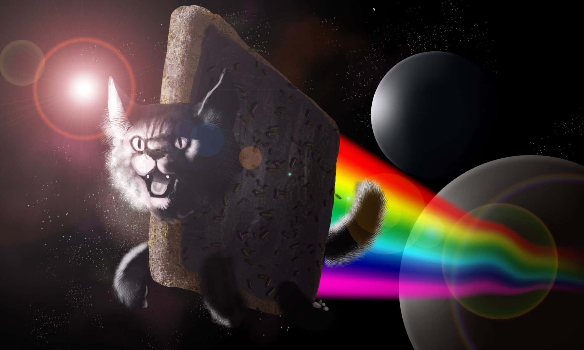 والپیپر لپ‌تاپ گربه پرنده نیان (Nyan Cat) میم والپیپر