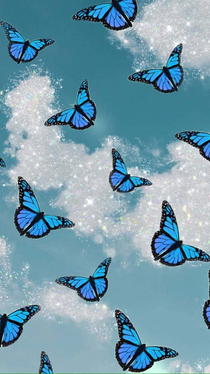 پروانه‌ای رنگارنگ و زیبا بر فراز مزارع اسطوخودوس والپیپر