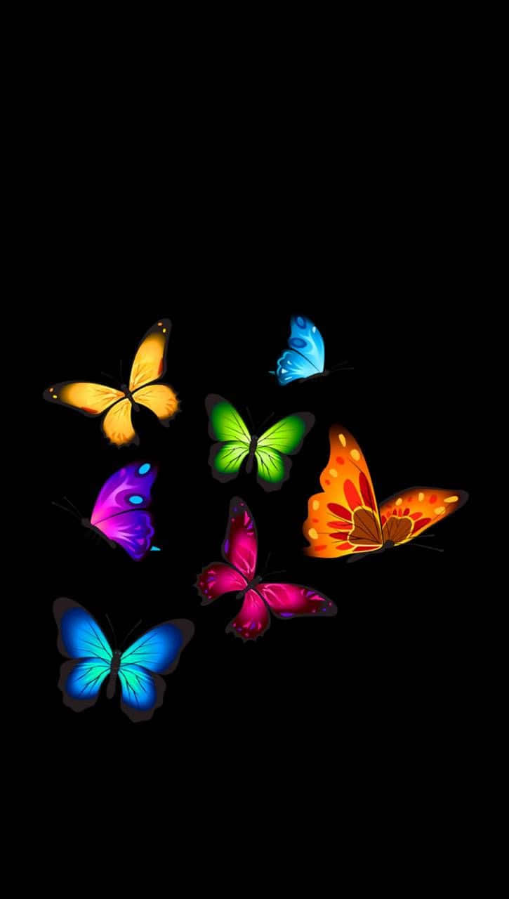 پروانه‌ای زرد و نارنجی روشن روی گلی بنفش والپیپر