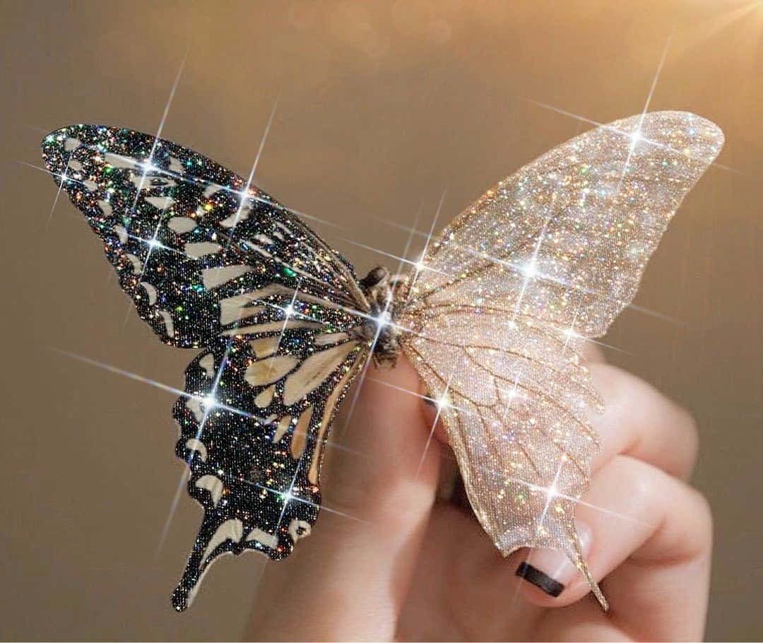 پروانه‌ای زیبا به رنگ صورتی و زرد در حال رقصیدن در باغ والپیپر