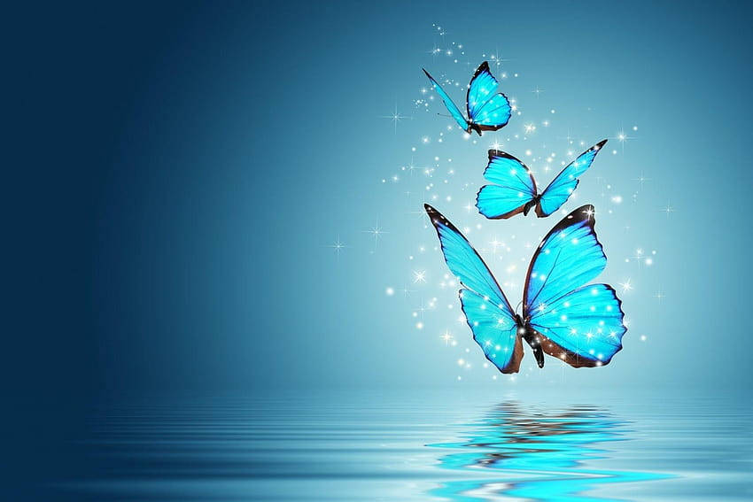 پروانه‌های آبی تمام صفحه دسکتاپ اچ‌دی