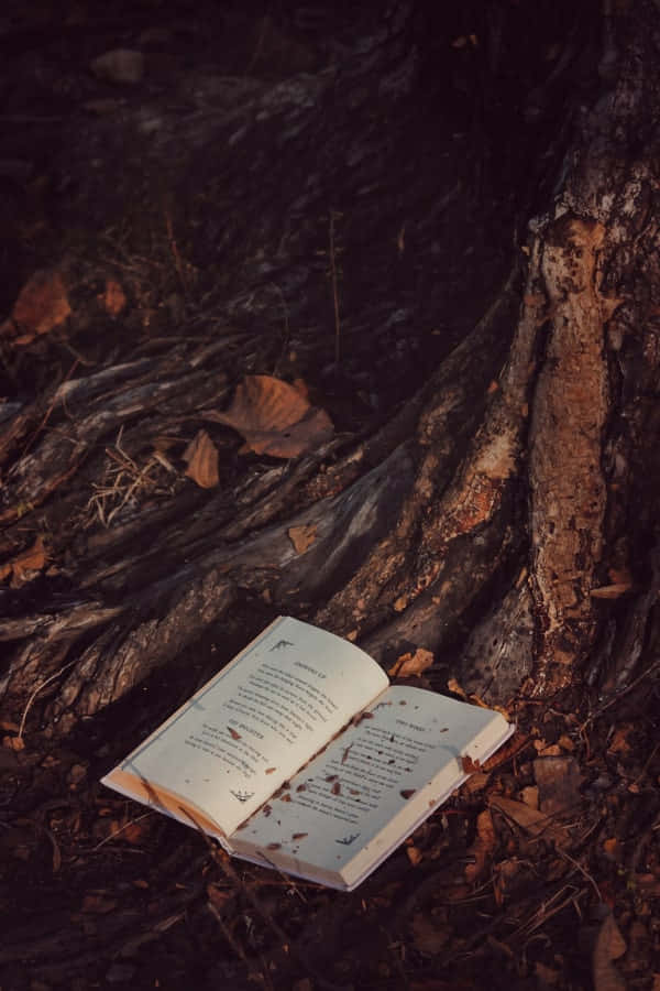 پس‌زمینه آکادمی تاریک