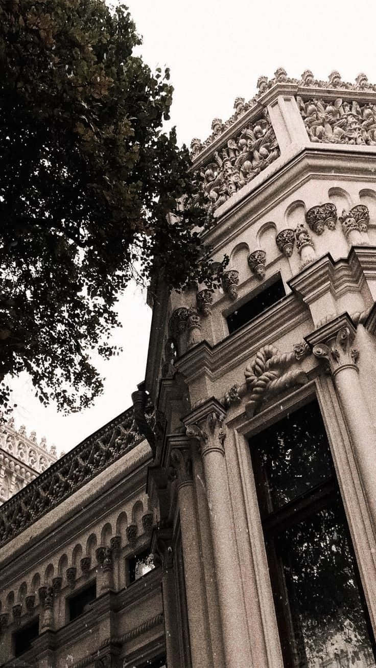 پس‌زمینه آکادمی تاریک