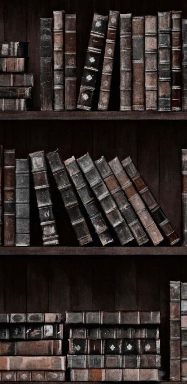 پس‌زمینه آکادمیک تیره