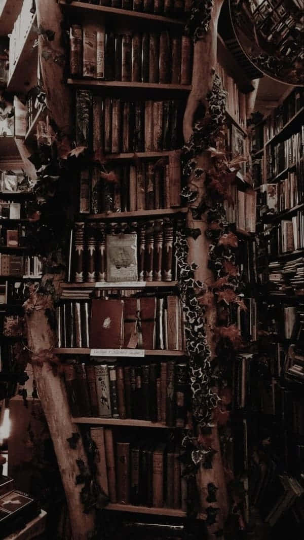 پس‌زمینه آکادمیک تاریک
