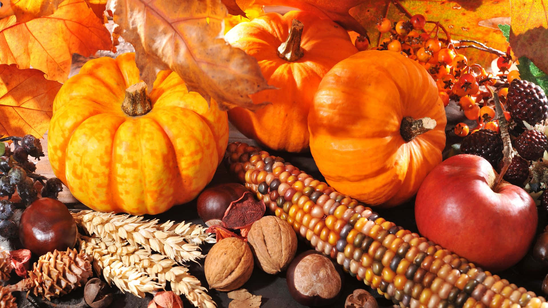 پس‌زمینه زیبای شکرگزاری والپیپر
