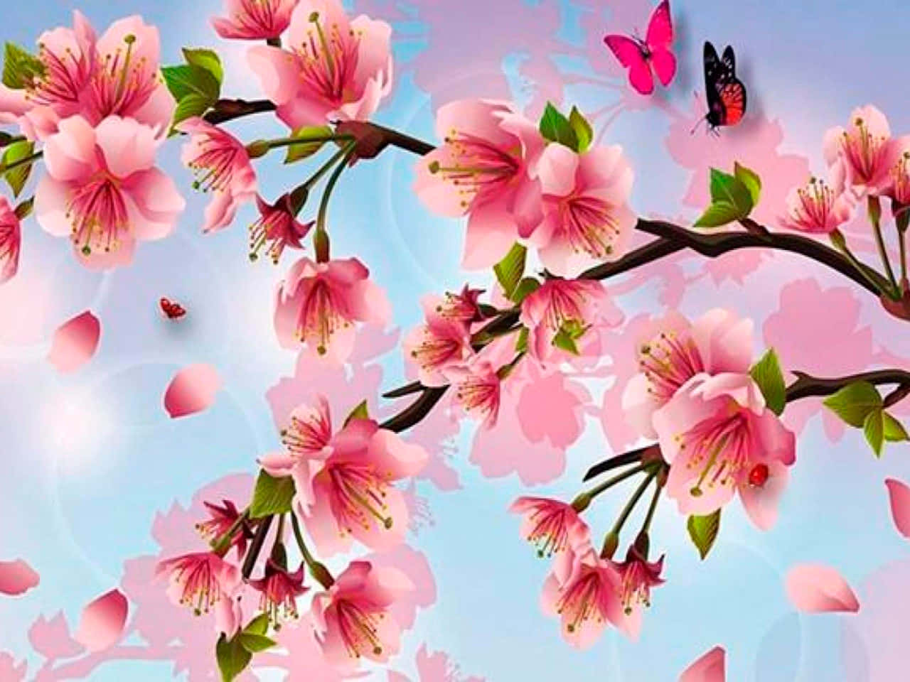 پس‌زمینه شکوفه‌های گیلاس والپیپر