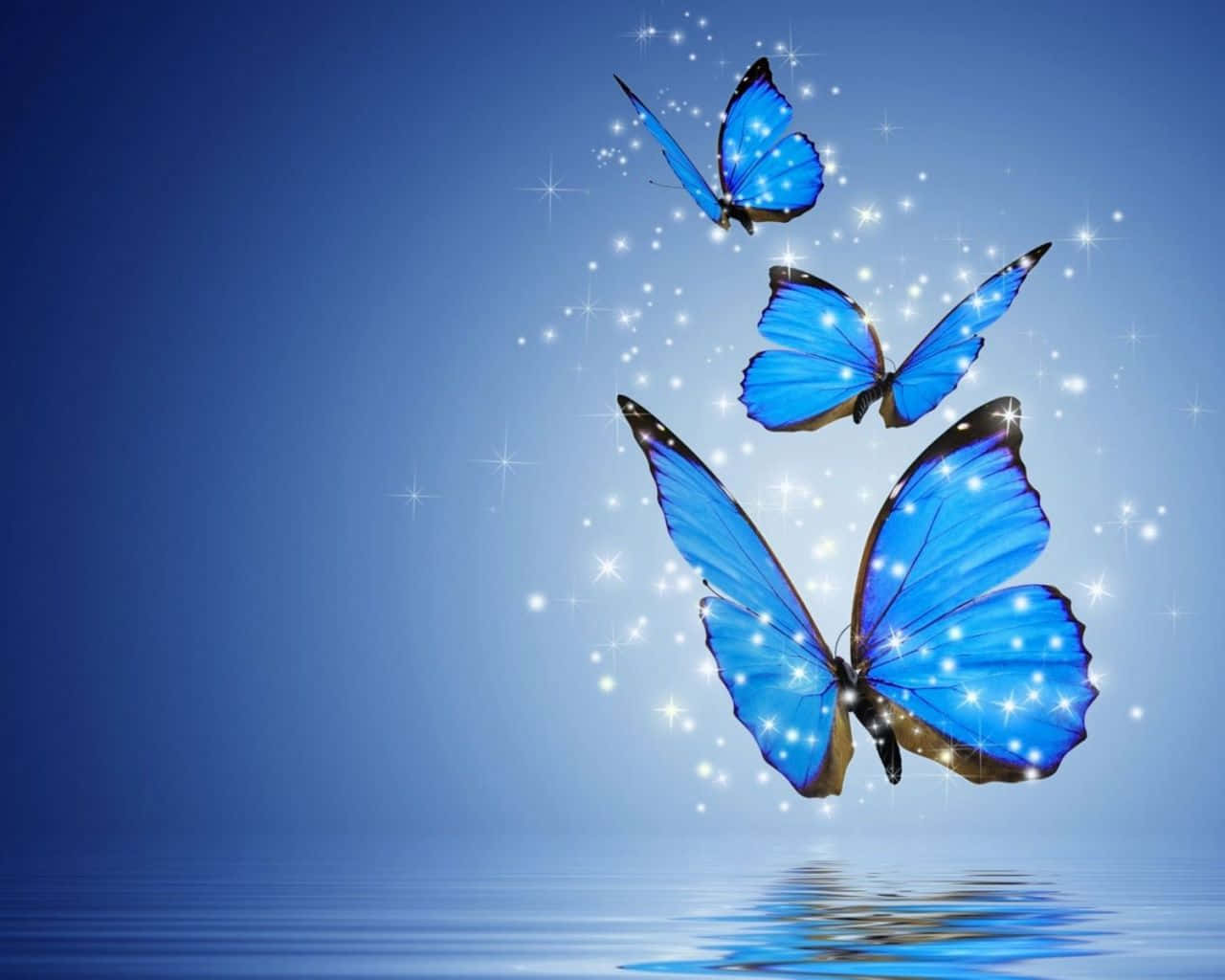 پس‌زمینه پروانه‌ای جذاب و زیبا والپیپر