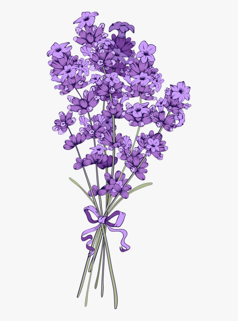 پس‌زمینه گلدار والپیپر