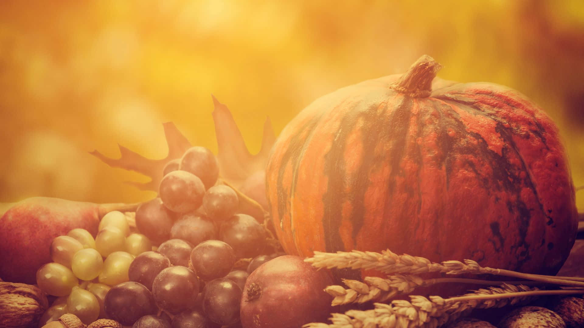 پسزمینه زیبای روز شکرگزاری والپیپر