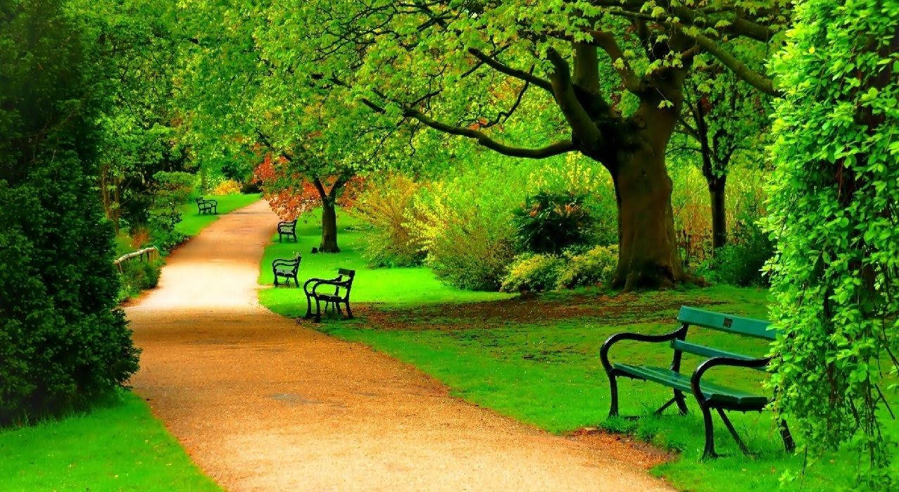 پیاده‌روی پارک تمام‌صفحه اچ‌دی دسکتاپ — طبیعت والپیپر