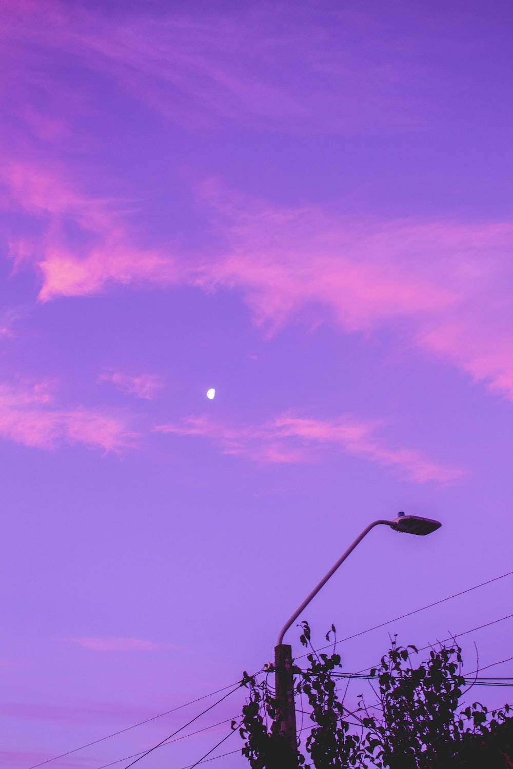 چراغ خیابانی زیبا به رنگ بنفش روشن والپیپر