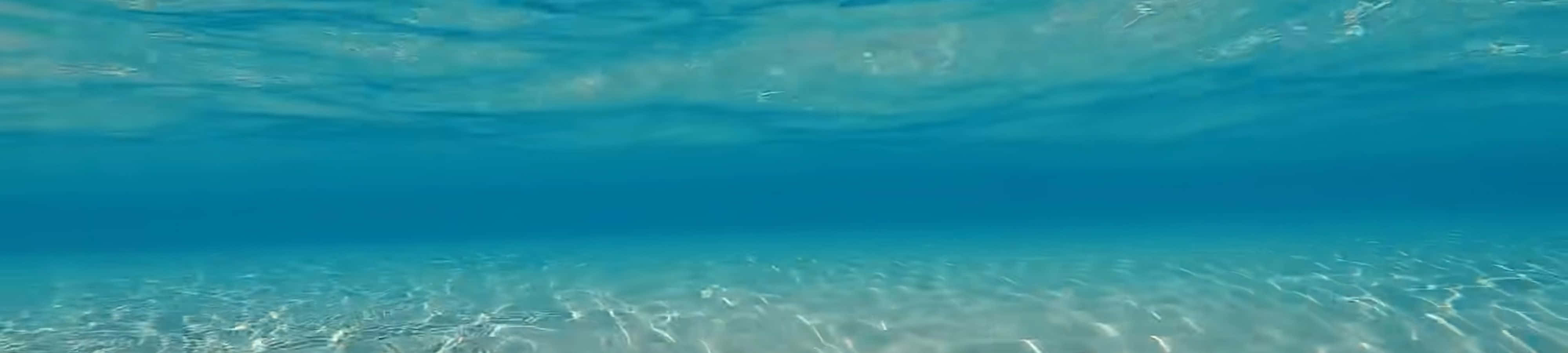 کاوش کنید و از زیبایی خیره‌کننده طبیعت شگفت زده شوید والپیپر