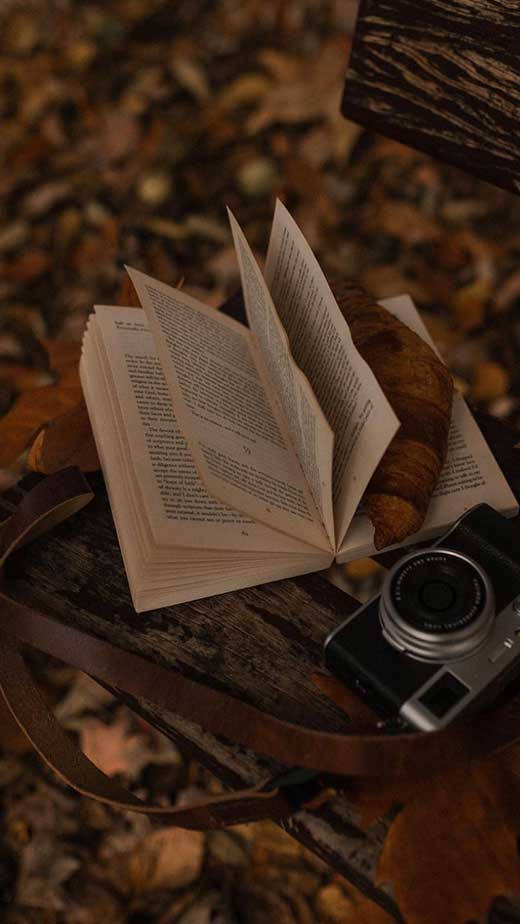 کتاب و دوربین با زیبایی‌شناسی قهوه‌ای تیره — قهوه‌ای استتیک والپیپر