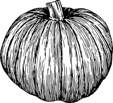 کدو تنبل در تاریکی والپیپر