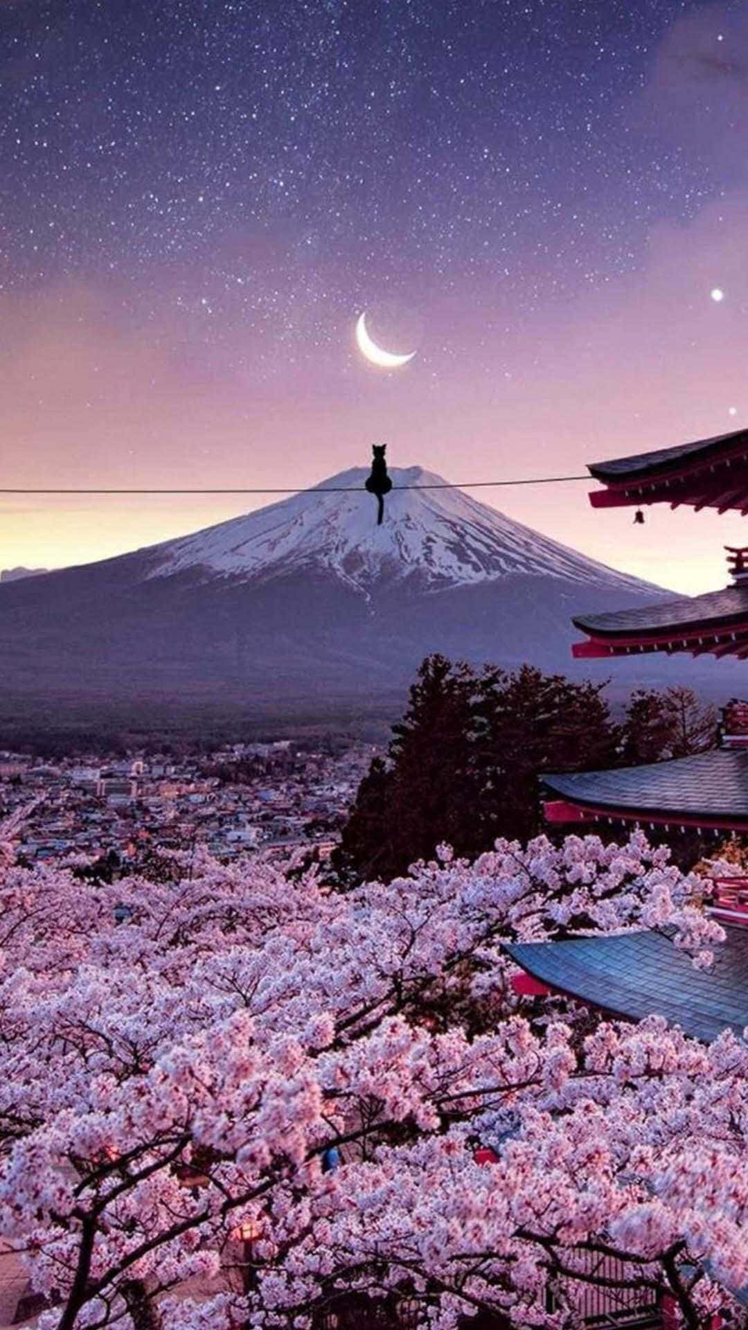 کوه فوجی و شکوفه‌های گیلاس آیفون ژاپنی والپیپر