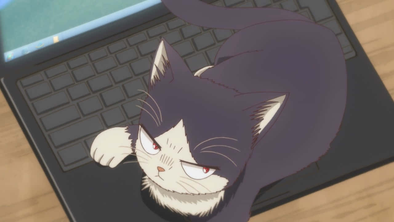 کپشن: لحظه‌ای از همراهی گرم والپیپر