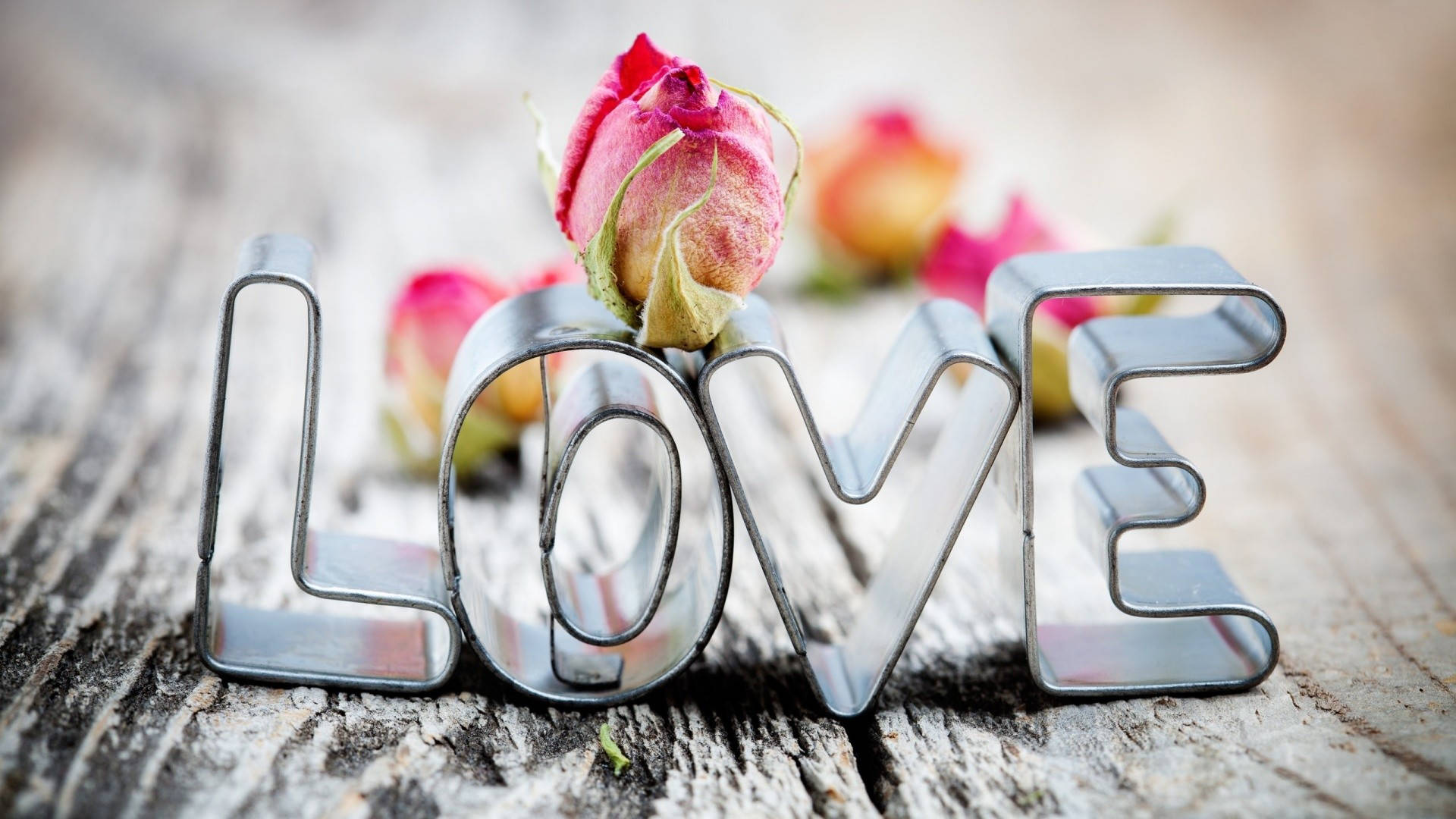 گل رز عاشقانه و بامزه والپیپر