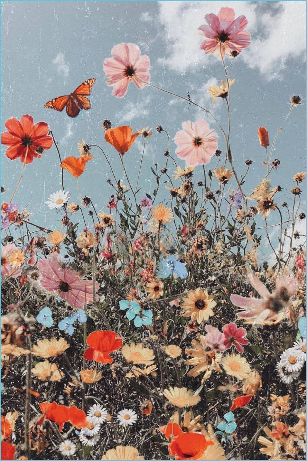 گل‌های زیبای بوهو والپیپر