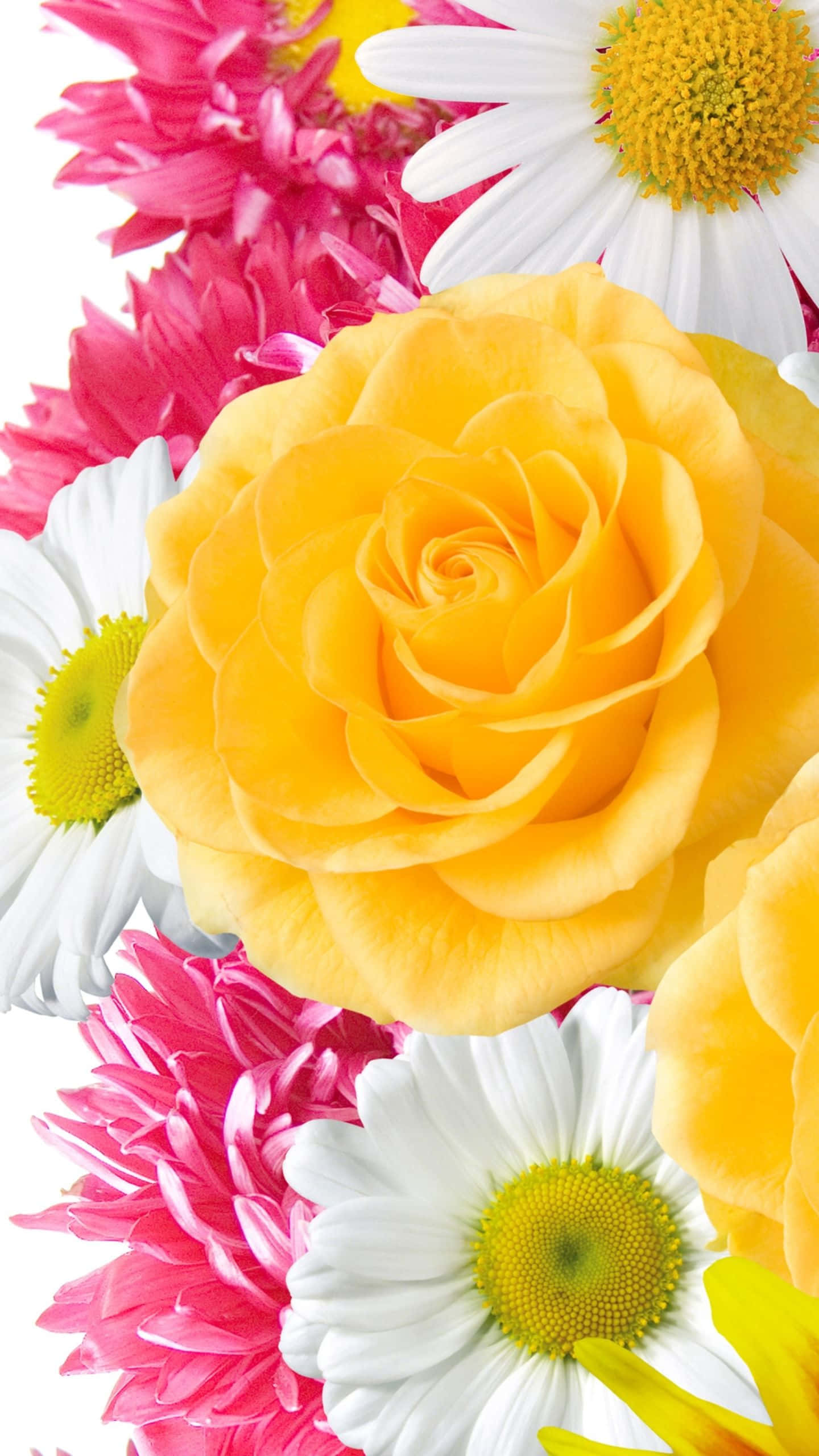 یک دسته گل والپیپر