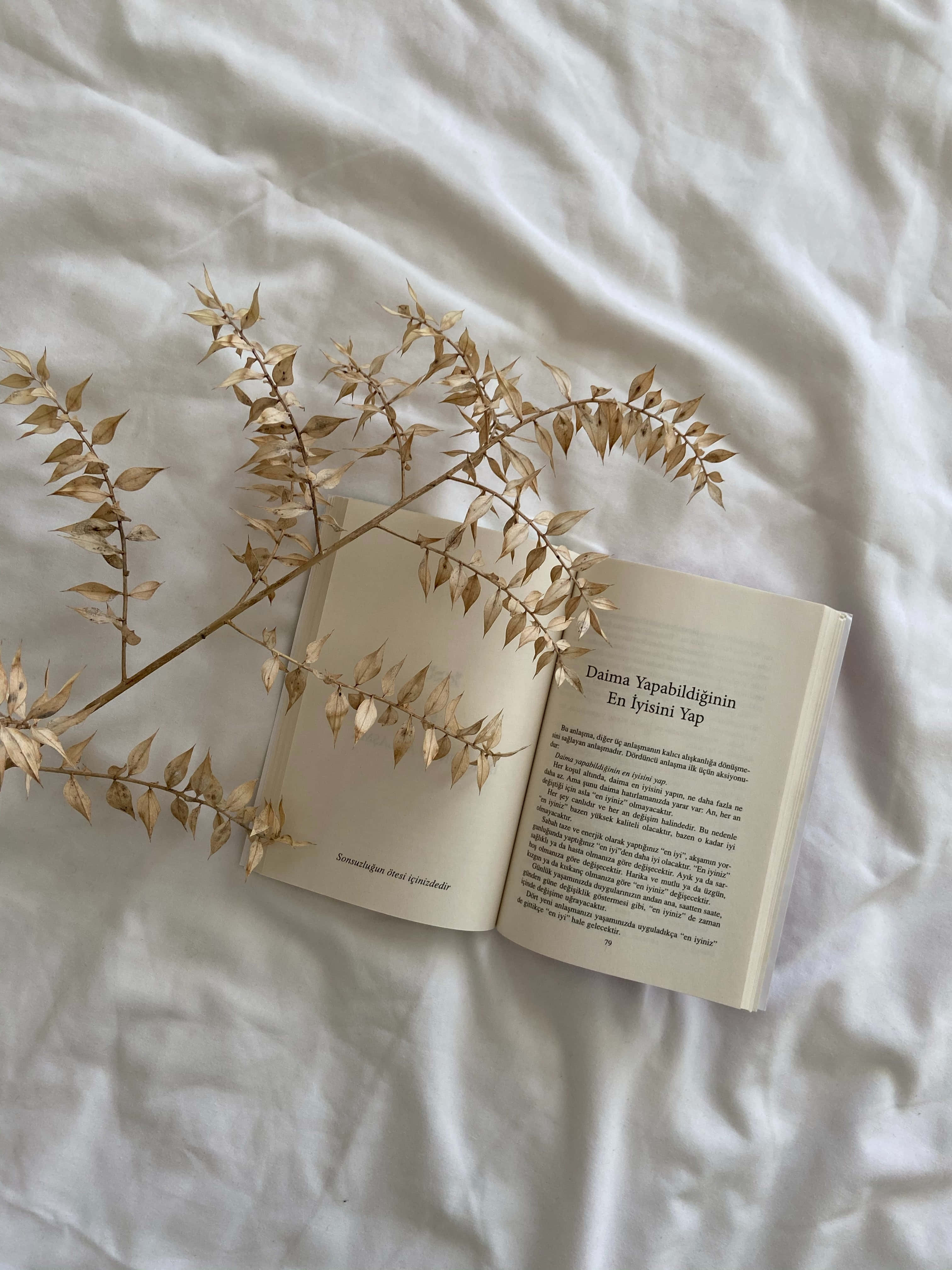 یک فنجان قهوه و یک کتاب باز، در روزی عالی برای غرق شدن در دانش جدید. والپیپر