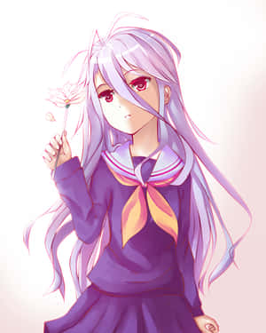 پس‌زمینه No Game No Life — ノーゲーム・ノーライフ والپیپر
