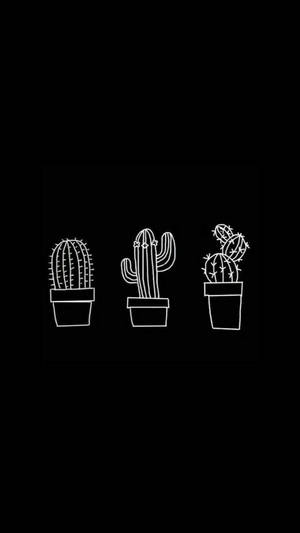 بچه گربه سیاه چشم آبی جذاب — گربه سیاه والپیپر