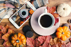 تصاویر زیبایی پاییز — حس و حال پاییزی والپیپر