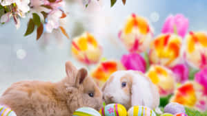 خرگوش‌های عید پاک و تخم‌مرغ‌های رنگارنگ در پس‌زمینه‌ای بهاری و پرجنب‌وجوش — عید پاک بامزه والپیپر