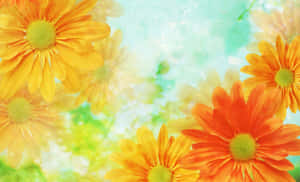 زیبایی یک گل شکوفه