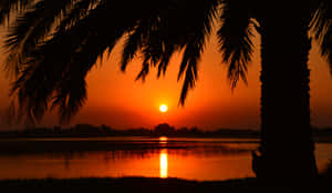 تصاویر غروب زیبا