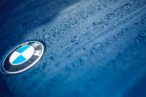 والپیپر نمای نزدیک از لوگوی BMW روی خودروی آبی با قطرات