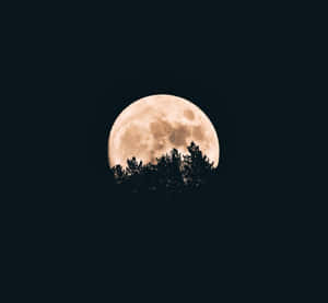 تصاویر ماه کامل — شب مهتابی آسمان والپیپر