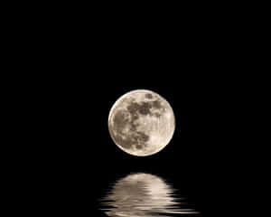 تصاویر ماه کامل — شب مهتابی آسمان والپیپر