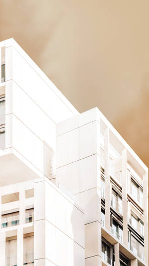 معماری استتیک کرم