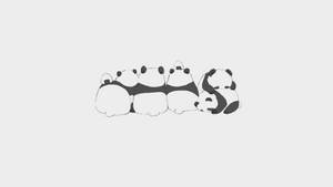 والپیپر پاندای کاوائی در ردیف.