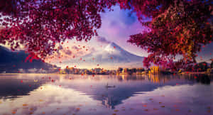 پس‌زمینه 4K — 4K والپیپر
