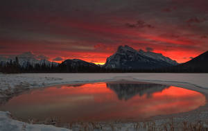 والپیپر چاله آب با زیبایی برفی — برف زیبا والپیپر
