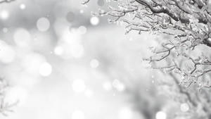 والپیپر کریسمس سفید در زمستان