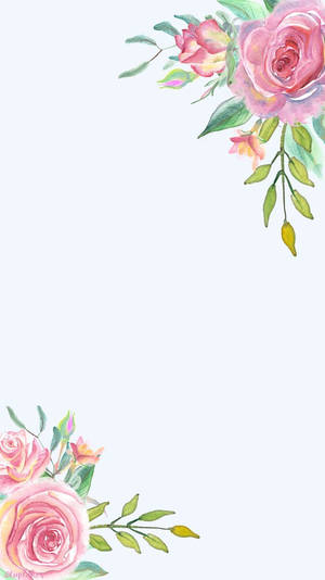 گل‌های حاشیه‌ای آیفون