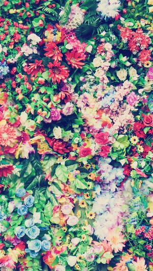 گل‌های رنگارنگ و متنوع برای آیفون