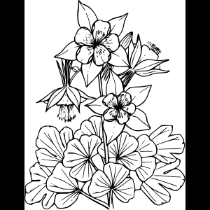 گل وحشی_ طرح_ اثر هنری